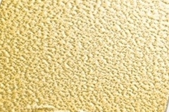 PJG16977