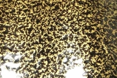 powder coating colors