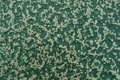 PHJG61009 antique silver green powder coating