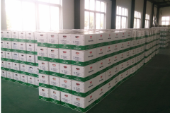 powder-paint-package
