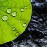 Biomimetic Superhydrophobic