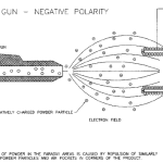 Diferencias-Entre-Tribo-y-Corona